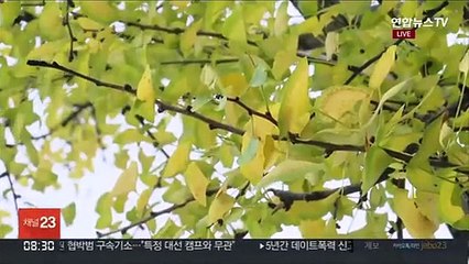 [날씨] 오전 짙은 안개…낮에는 쾌청, 큰 일교차 유의