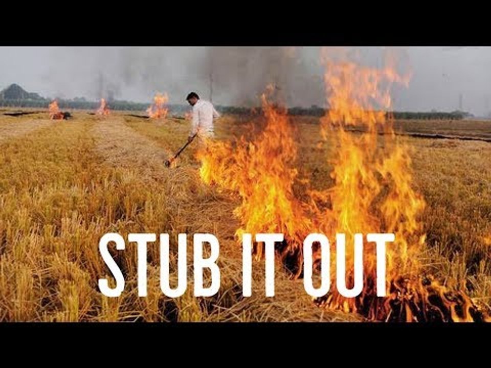 Stub It Out
