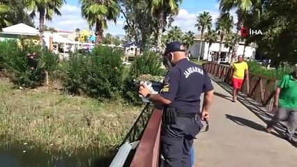Nifrit Deresi'nde balıklar kirlilikten oksijensiz kaldı
