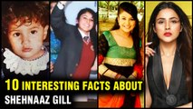 10 Lesser Known And Unknown Facts Of Shehnaaz Kaur Gill