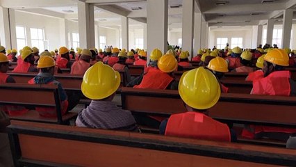 Fast wie in der Bibel: Die Taliban versprechen Nahrung für Arbeit