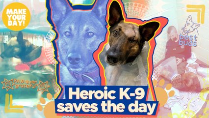 Heroic K-9 saves the day | Make Your Day