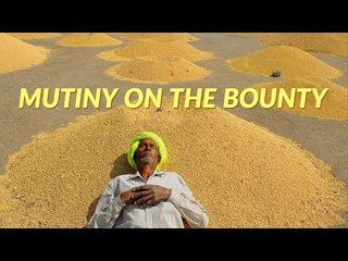 In Poll-Bound Madhya Pradesh, Farmers’ Anger Grows Despite A Good Harvest