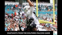 Snapshots from the Dolphins-Falcons Game