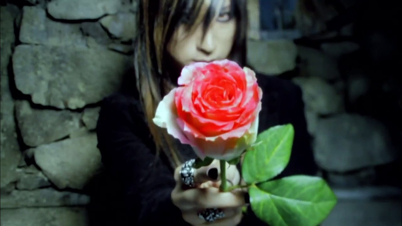 D / Day by DayD PV