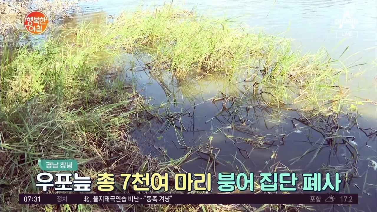 부산 해운대, 리콜 진행 중인 김치 냉장고에서 화재 발생