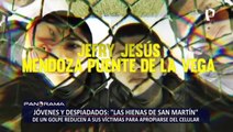 SMP: Cayó la banda criminal de jóvenes despiadados “Las hienas de San Martín”