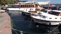 İstanbul Boğazı’nı denizanaları bastı