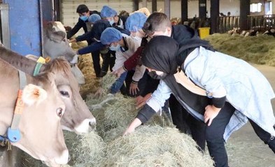 LİSE ÖĞRENCİLERİNİ ÜNİVERSİTEYLE TANIŞTIRAN PROJE