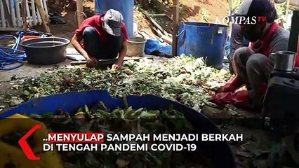 Warga Kompak Mengolah Sampah jadi Budidaya Maggot