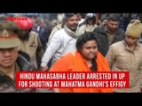 Hindu Mahasabha leader arrested in UP for shooting at Mahatma Gandhi's effigy