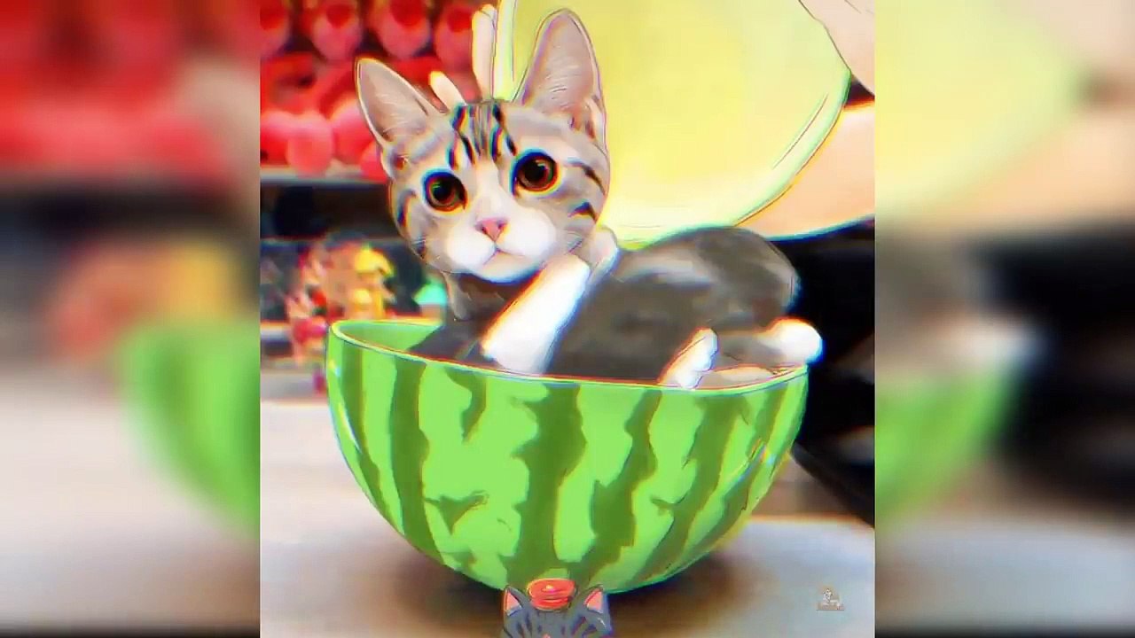 Baby Cats - Cute and Funny Cat Videos Compilation #13