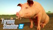 Farming Simulator 22 : LES ANIMAUX Bande Annonce Officielle