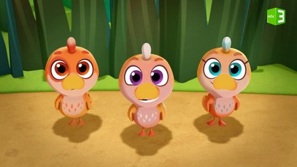 تسلل صغار البط باحثون عن الضفدع العملاق