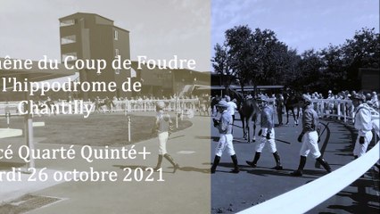 Pronostic pour la course du Quinté PMU du mardi 26 octobre 2021