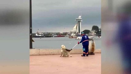 Tuzla'da temizlik personeli ve köpeğin yürekleri ısıtan görüntüsü