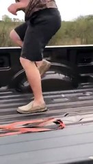 Un petit cochon trop agité sur une pickup !