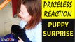 '13 y/o girl's reaction to new puppy surprise is PRICELESS'