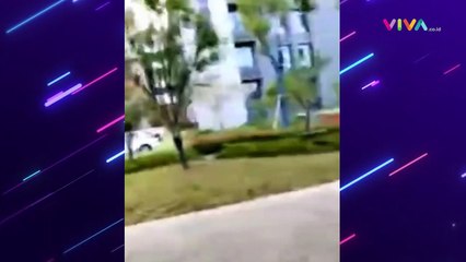 Ledakan Mematikan Laboratorium Kampus Mewah China