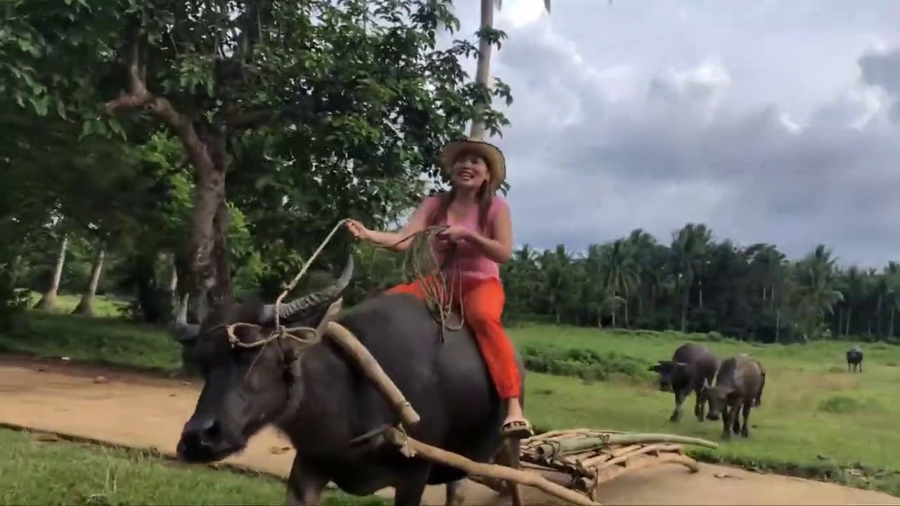 Crazy Girl  Riding in Free Time