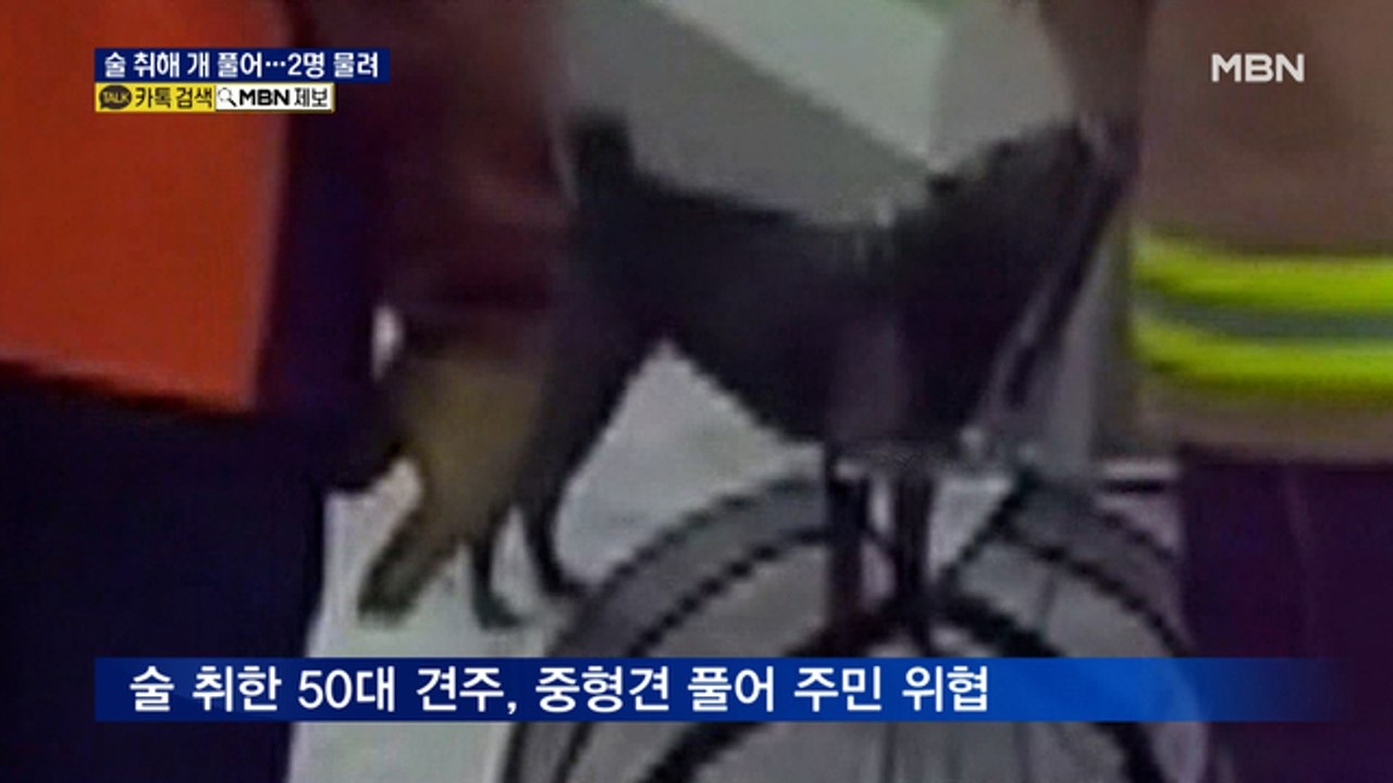 술 취한 견주, 입마개 안 한 개 풀어 위협…주민 2명 물려