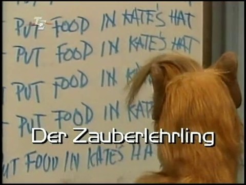 ALF - 064. Der Zauberlehrling