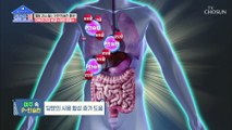 공복혈당·식후 혈당 개선 돕는 ❛여주 분말❜ TV CHOSUN 20211025 방송