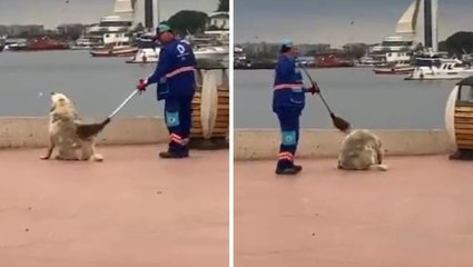 İstanbul'dan yürekleri ısıtan görüntü! Belediye Başkanı "Günaydın hayat" notuyla paylaştı
