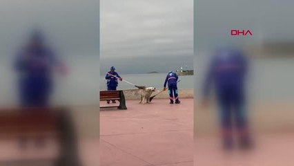 TEMİZLİK PERSONELİ VE SOKAK KÖPEĞİNİN YÜZ GÜLDÜREN GÖRÜNTÜSÜ