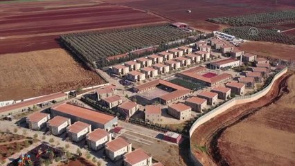 Suriyeli yetimler zeytin toplama şenliğine katıldı