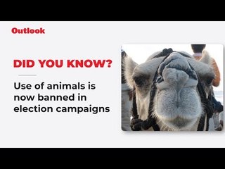 No animal cruelty this Lok Sabha election