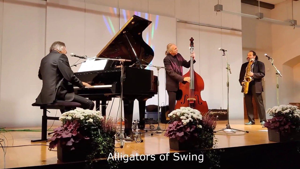 Alligators-of-Swing