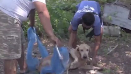 เรื่องพลบค่ำ ช่วงที่ 3 วันจันทร์ที่ 25 ต.ค.64