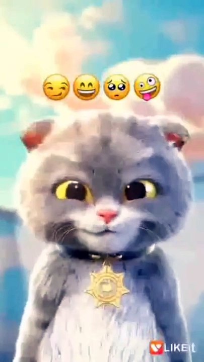 Si meong kucing lucu - Funny cats and kittens