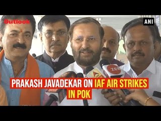 Prakash Javadekar On IAF Air Strikes In PoK