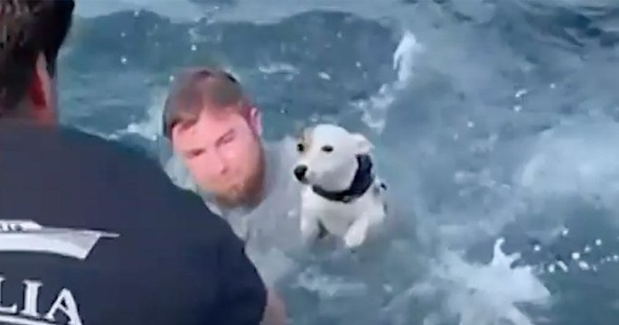 Floride : des jeunes plaisanciers sauvent un chien en pleine mer