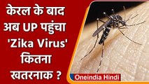 UP में खतरनाक Zika virus की दस्तक, जानिए कितना खतरनाक ? | वनइंडिया हिंदी