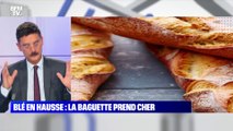 Blé en hausse: la baguette prend cher - 25/10