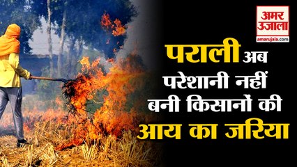 Parali Becomes Source Of Income In Haryana|पराली बनी किसानों की आय का साधन