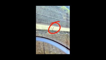 Un pilote d'hélicoptère aide un agriculteur à balayée son terrain... beau geste