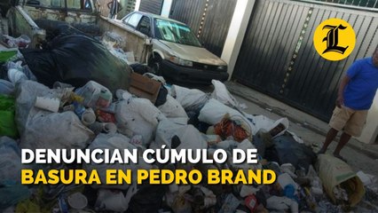 Denuncian cúmulo de basura en Pedro Brand