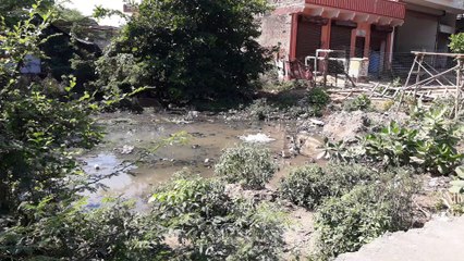 फोगिंग, दवा बेअसर, बेकाबू हो रहा डेंगू