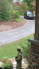 Bear Steals Pumpkin From Porch