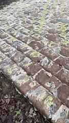 Concrete Driveway Done Differently