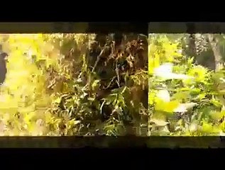 #igebersantuy | guyon bareng sedulur - Muhammad Nurul Hidayat 037