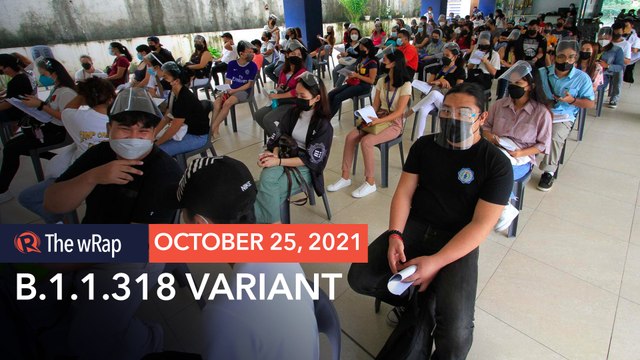 Philippines reports 1st case of COVID-19 'variant under monitoring' B.1.1.318