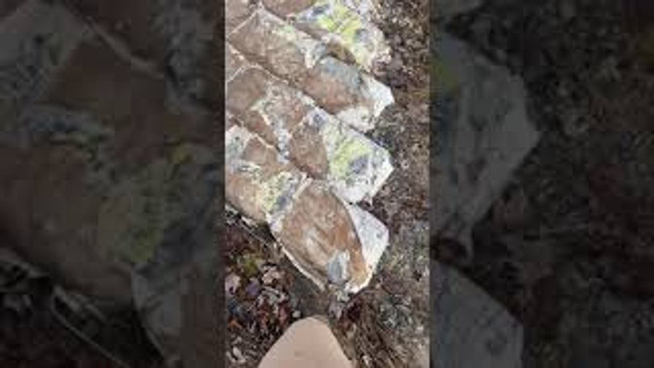 Concrete Driveway Done Differently