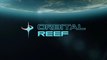 Introducing Orbital Reef