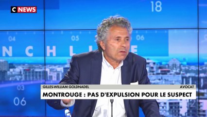 Gilles-William Goldnadel : «Si on suit jusqu'au bout ce système pervers, cet individu fait appel, il fait ensuite cassation et il en a pour 5 ans de tranquillité»