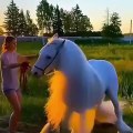 Wow Adorable Horse | Cute Horse ever you seen